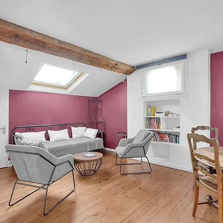 Spacious And Bright In The Historic Center شقة تولوز