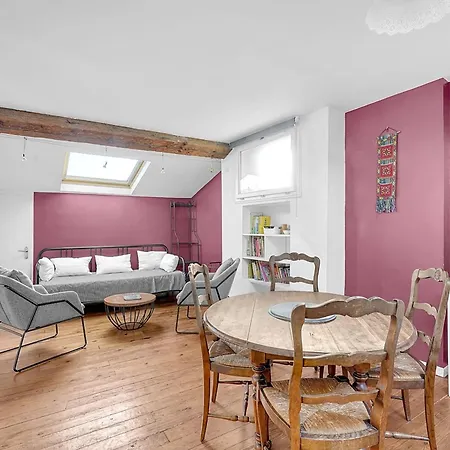 Spacious And Bright In The Historic Center * تولوز