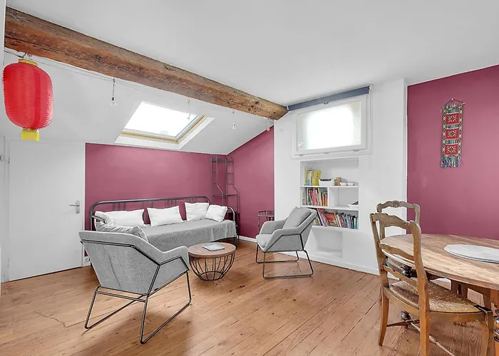 Spacious And Bright In The Historic Center アパート トゥールーズ