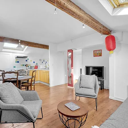 公寓 Spacious And Bright In The Historic Center 圖盧茲