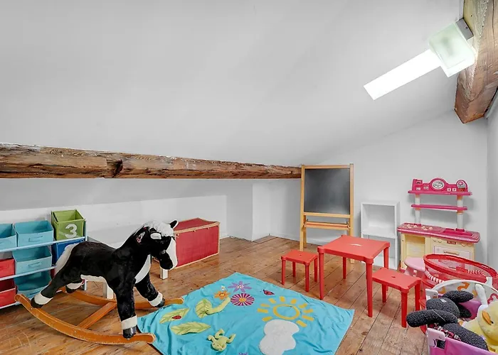 Spacious And Bright In The Historic Center アパート トゥールーズ